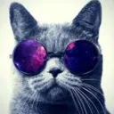 Аватар kotik37