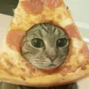 gwucat