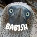 normal_babishguy