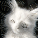 avatar sillyea # w.i.l.e.a.