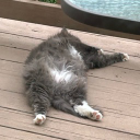 sluggyinahat member profile picture