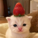 avatar 𝐉𝐮𝐥𝐢𝐞𝐭𝐚