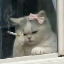 avatar 𝓙𝓾𝓵𝓲𝓮𝓽𝓱