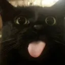 ihnjerd