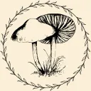 shimeji_the_mush