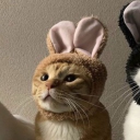 User icon