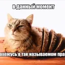 Аватар ferzon098