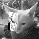 sovereignranker