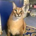 Аватар tvoibratik0_0