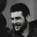 seyedamir