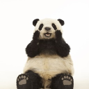 avatar bossybabyjimbomegajen123