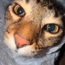 avatar 𝓌𝑜𝓃𝒹𝑒𝓇⋩