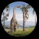 diplodocus67