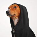 avatar форточка