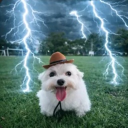 avatar T𝓸𝓲𝓵𝓮𝓽s