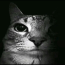 avatar T𝓸𝓲𝓵𝓮𝓽s