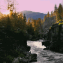 avatar Florian_SVB04