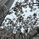 hyugo_su