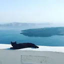 dknmrk