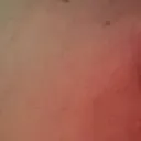 brinegrif