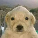 cristopher_0. avatar