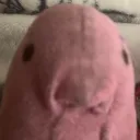 birtholomew