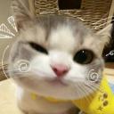 rocee_