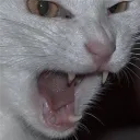 himepere