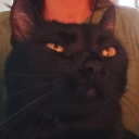 avatar Fotini