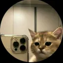 01_iialexy avatar