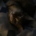 itshtag