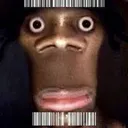 iown3minecraftservers6565