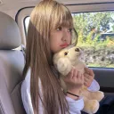 bubbly_gull_05278