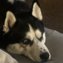 avatar sleepytrooper