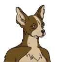 chihuahua.eth