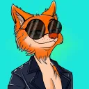 ninjathedegen