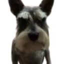 orceferth avatar