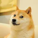 Аватар piskaed6217