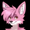 nikko_9055