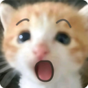 avatar ! yuni