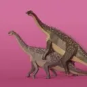 lurnigersaurus