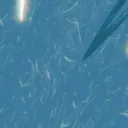srnooby