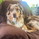 _crackacoldone_'s Avatar