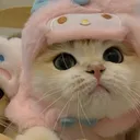 kazuhaomaior
