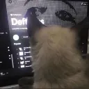 blssfhul