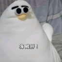daohui__