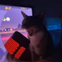 Аватар this_is_tapok