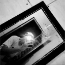 graomestre0901