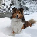 savypy