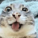 j7felix